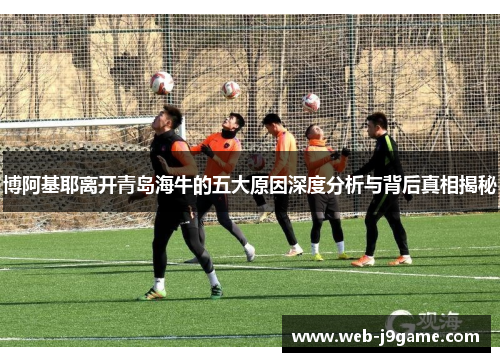 博阿基耶离开青岛海牛的五大原因深度分析与背后真相揭秘