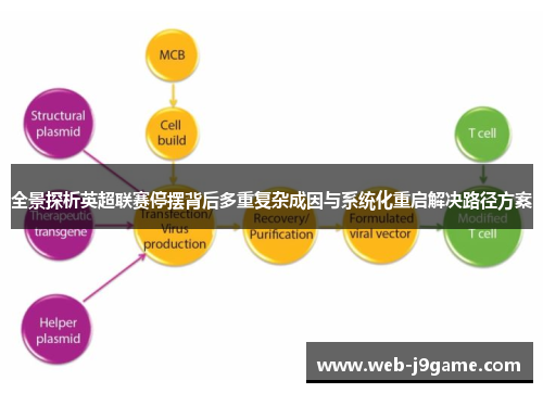 全景探析英超联赛停摆背后多重复杂成因与系统化重启解决路径方案